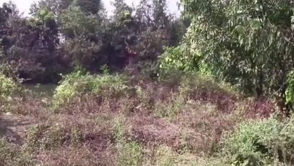 হুগলি: শবদাহ শুরু হলেই স্কুলে বাজে ছুটির ঘণ্টা