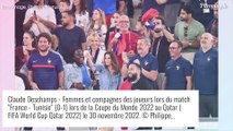 Coupe du monde : Giroud et Griezmann en famille malgré la défaite, leurs enfants s'éclatent sur la pelouse !