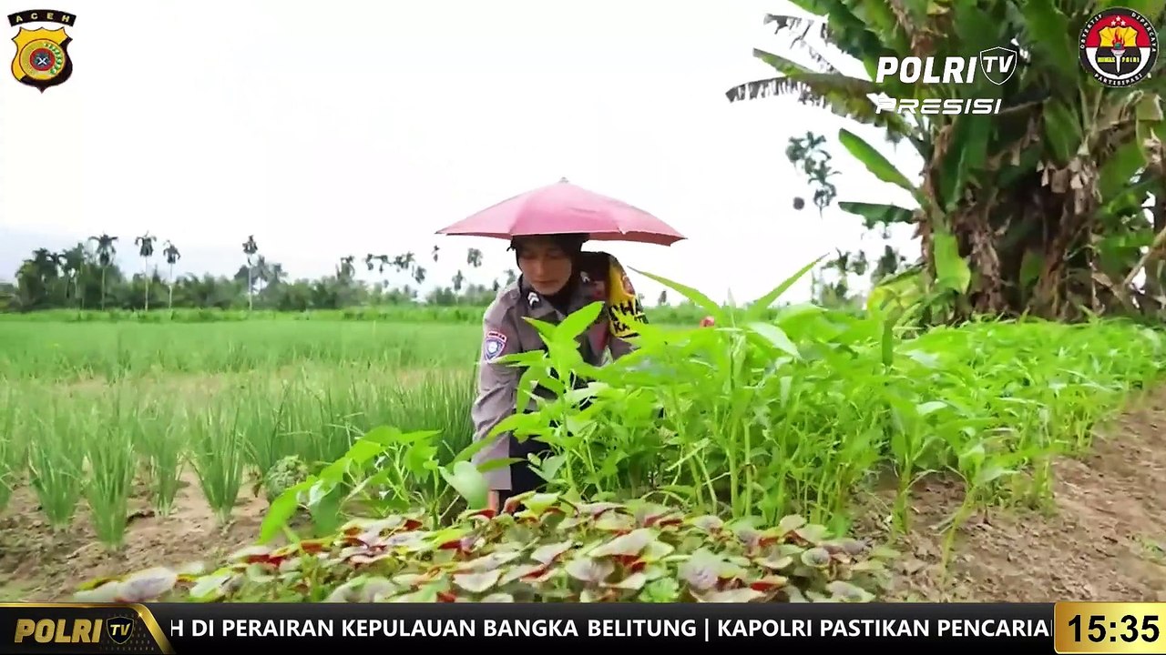 PRESISI INSPIRATIF (1/12/2022) : Briptu Auri Fika Aknes Menginisiasi Program Ketahanan Pangan