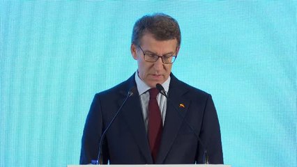 Núñez-Feijóo: "Tenemos un Gobierno pirómano que se dedica a avivar el fuego"