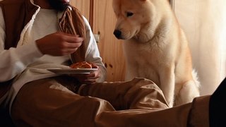 Dog funny video || dog training video #dogvideo  #trendyvideo