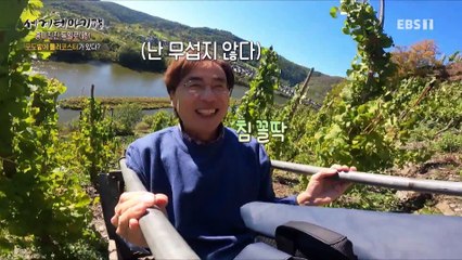 세계테마기행 - 흥미진진 독일로(路)- 모젤강 가을 향기 따라_#002