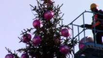 Milano, montato l'albero di Natale in Piazza Duomo