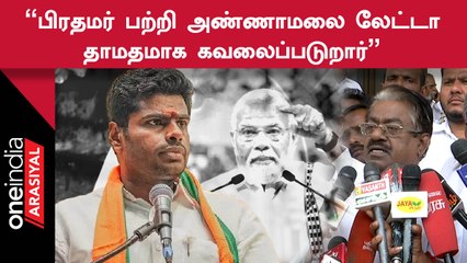 Tamilnadu Governor அரசியலமைப்பு சட்டத்திற்கு இணங்கி செயல்படனும்  - TKS Elangovan