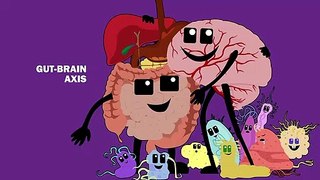 THE GUT MICROBIOME AND THE BRAIN_HIGH |Your Gut Microbiome: The Most Important Organ You’ve Never Heard Of