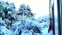 Relaxing Snowfall_ Winter Scenery with Beautiful Relaxing Videos