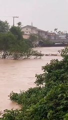 Chuva arrasta bois em São João Batista