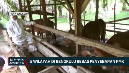 5 Wilayah di Bengkulu Bebas Penyebaran PMK