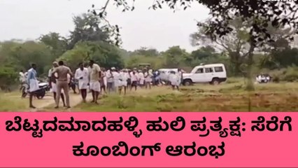 ಚಾ.ನಗರ:ಬೆಟ್ಟದಮಾದಹಳ್ಳಿಯಲ್ಲಿ ಹುಲಿ ಪ್ರತ್ಯಕ್ಷ: ಸೆರೆಗೆ ಕೂಂಬಿಂಗ್ ಆರಂಭ