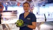 World Cup 2022: Watch Sealife London Aquarium stingrays play underwater football