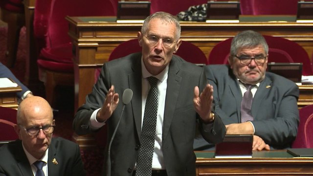 Je ne sais pas si des Français nous regardent, mais ce n'est pas à l'honneur du Sénat