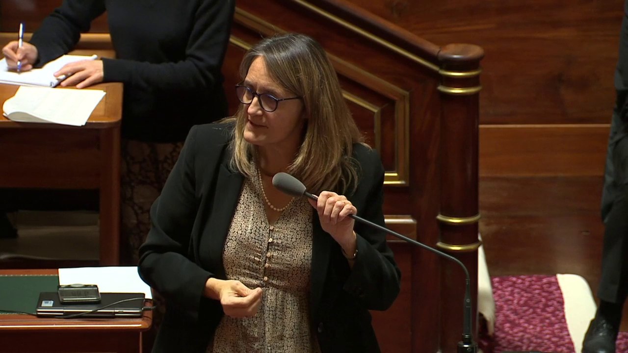 Agriculture : "Je comprends la colère et je la partage, mais le Sénat continuera à travailler."