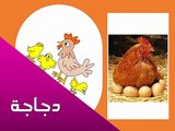 تعليم الاطفال النطق باللغة العربية تدريب علي النطق بالصوت والصورة
