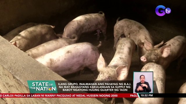Ilang grupo, inalmahan ang pahayag ng B.A.I. na may bahagyang kakulangan sa supply ng baboy ngayong huling quarter ng taon | SONA