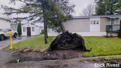 Les dégâts causés par les forts vents (Le Reflet - Erick Rivest)