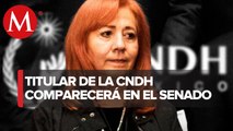 Rosario Piedra comparecerá ante el Pleno del Senado el próximo 7 de diciembre