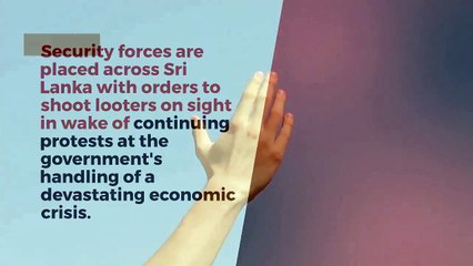 12th May 2022 l Morning l The World News Flash l#news