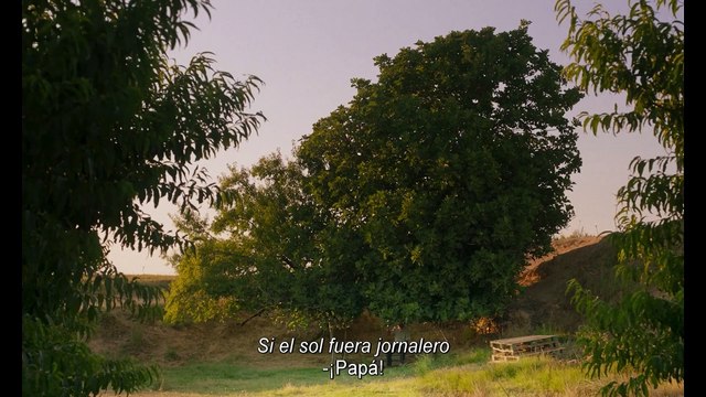 'As bestas', 'Modelo 77', 'Alcarràs' y 'Cinco lobitos', favoritas para los Premios Goya