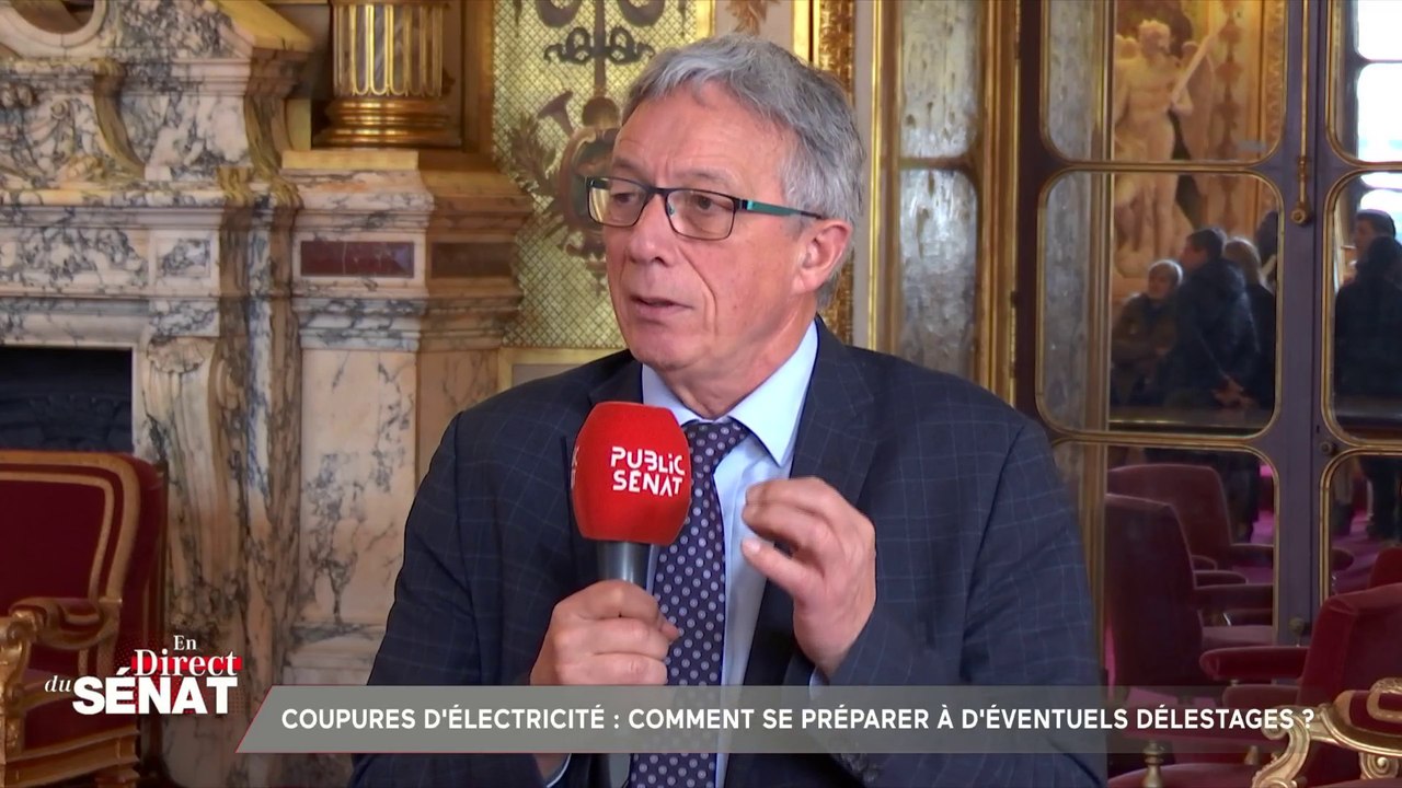 Coupures de courant : « Il nous reste très peu de temps », alerte le sénateur Daniel Gremillet