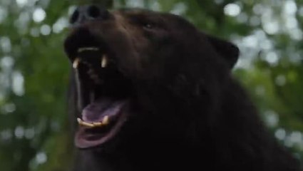 Cocaine Bear trailer stars drug-addled animal on rampage