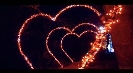 FIRST LOOK: Hearts aglow at Christmas At Gibside 2022