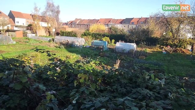 Un projet immobilier à la place des jardins partagés de la rue de la Culture à Tournai