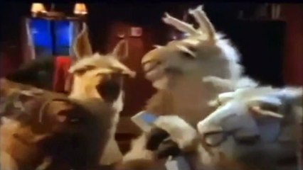 La Llama que llama - Hola, ¿Hablo con la NASA? - Telecom - Publicidad argentina (1999-2002)