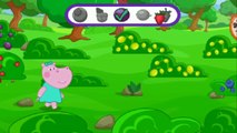 Cartoon hippo video  educational cartoon funny cartoons