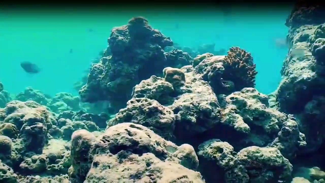 One Strange Rock Staffel 1 Folge 8 HD Deutsch