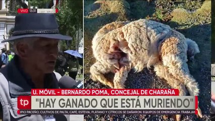 La sequía y los incendio forestales golpean con fuerza al departamento de La Paz 