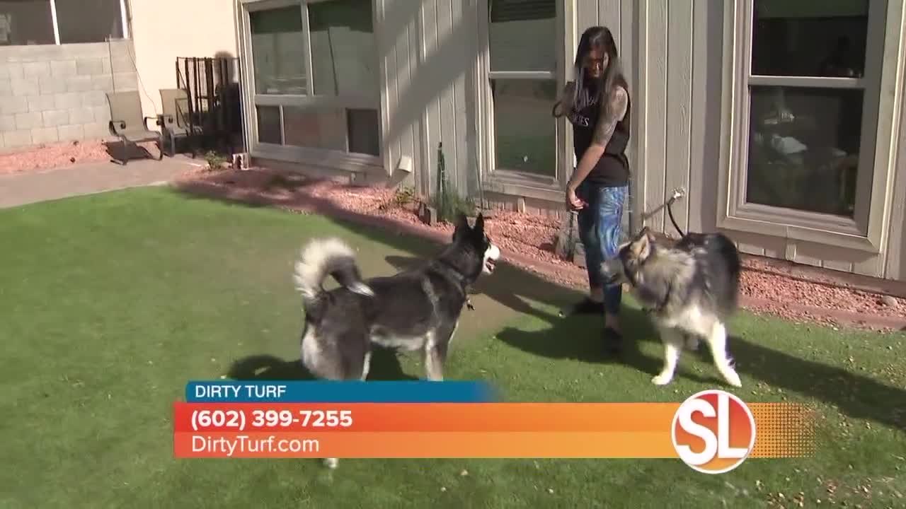 Tired of stinky synthetic grass smell from your...