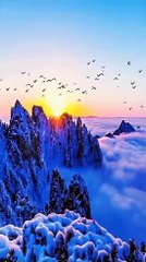 Feel_the_nature_and_around_us_#naturephotography_#nature_#naturelovers_#naturalbeauty_#natureshot_#(480p)