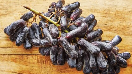 What Are Moon Drop Grapes?