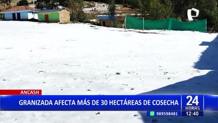 Sorpresiva caída de granizo en Áncash afecta 30 hectáreas de cultivos
