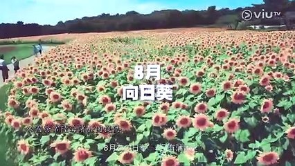 【4K修復】《花姐ERROR 遊》EP5｜黐線邊爐