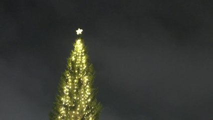 Trafalgar Square Christmas tree lit up in festive ceremony