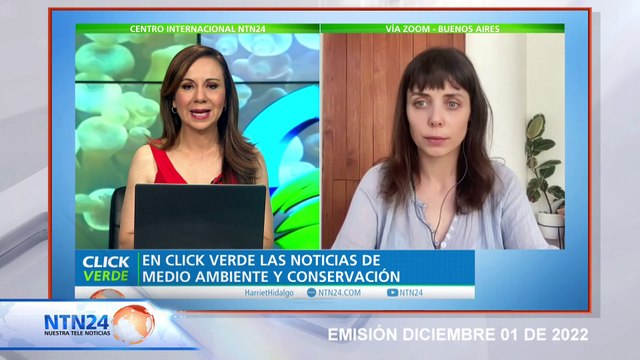 Greenpeace urge tratado internacional para la protección de océanos