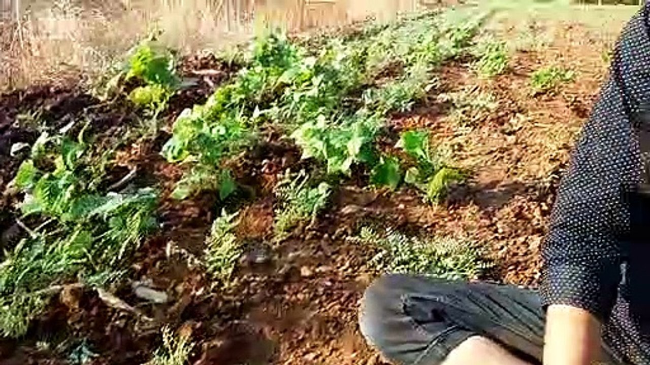 Information About Soil In English _Meaning, Uses & Types Of Soil In English_ (Ge_HD