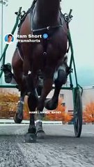 Horse  Running | Ram Shorts   #ramshorts #shorts
