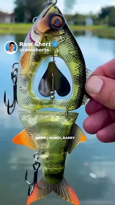 Fork For Fish   | Ram Shorts   #ramshorts #shorts