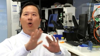 SA trial of new pre-eclampsia finger prick test brings hope of faster diagnosis in pregnancy