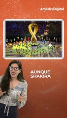 Shakira siempre se ha llevado todos los aplausos en los mundiales a los que ha asistido