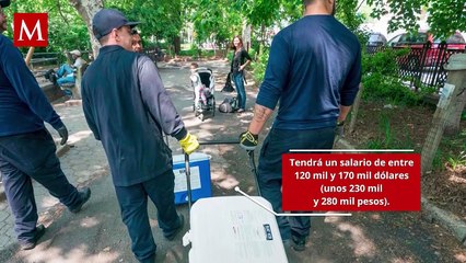 Nueva York ofrece miles de dólares a quien pueda erradicar plaga de ratas que inundan las calles