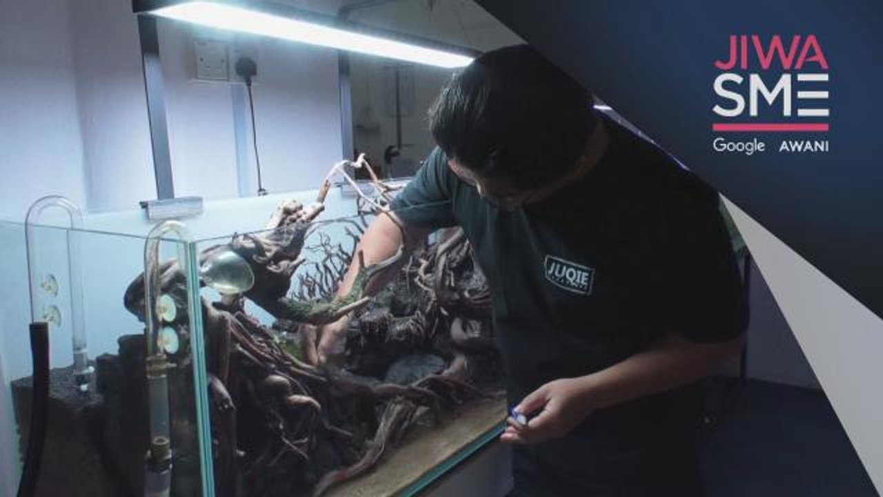 Jiwa SME | Pemasaran digital hiasan 'Aquascape', raih permintaan tinggi