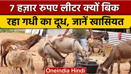 Telangana में खुला Donkey Farm, 7 हजार में बिक रहा गधी का दूध ! | वनइंडिया हिंदी | *News