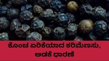 ಕೊಡಗು: ಏರಿಕೆಯ ಹಾದಿಯತ್ತ 'ಕಪ್ಪು ಬಂಗಾರ'..ಧಾರಣೆ ಹೀಗಿದೆ ನೋಡಿ..!