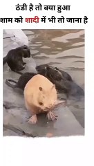 Winter is coming . Full Entertainment vedio