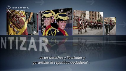 Guardia Civil, su estructura y organización.