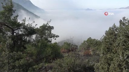 Amasya'da sis denizi görenleri mest etti