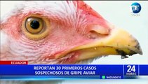Gripe aviar: brotes de influenza también afecta en otros países de la región